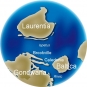 Image couleur du globe montrant le déplacement des continents Gondwana, Baltica, Laurentia