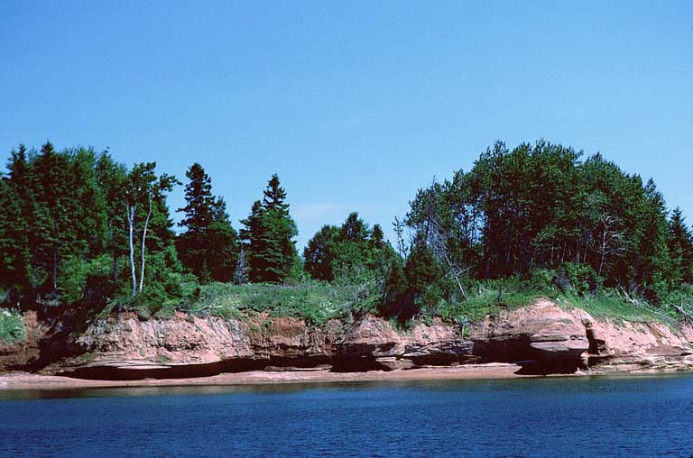 Colour photograph of water, reddish rock shoreline and trees